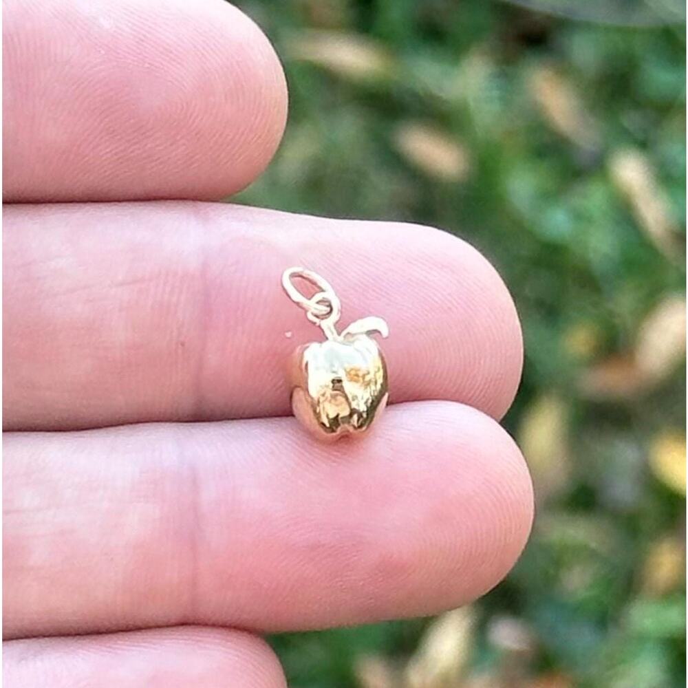 14K Gold Plated Necklace with Bronze Apple Charm